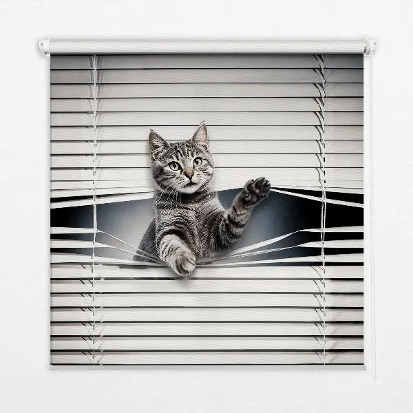 Verduisterend binnengordijn kat
