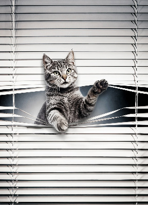 Verduisterend binnengordijn kat