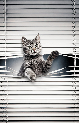 Verduisterend binnengordijn kat