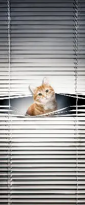 Verduisterend rolgordijn voor balkondeur gemberkat