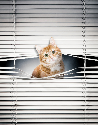 Verduisterend rolgordijn voor balkondeur gemberkat