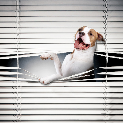 Verduisterend rolgordijn voor raam hond