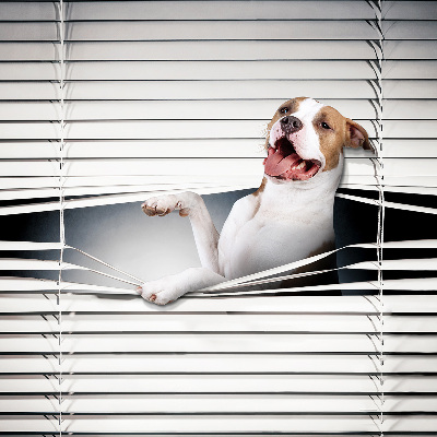 Verduisterend rolgordijn voor raam hond