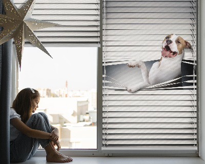 Verduisterend rolgordijn voor raam hond