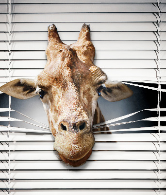 Binnenshuis verduisterend rolgordijn giraffe