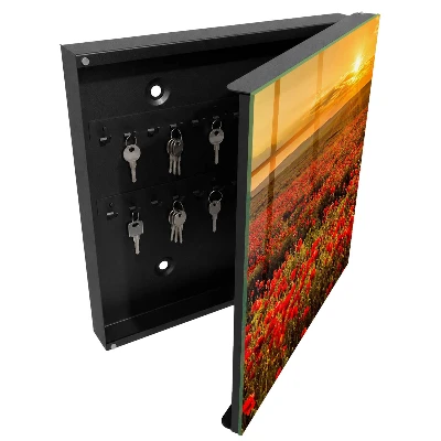 Sleutelkastje voor in de hal met afbeelding van klaprozenvelden