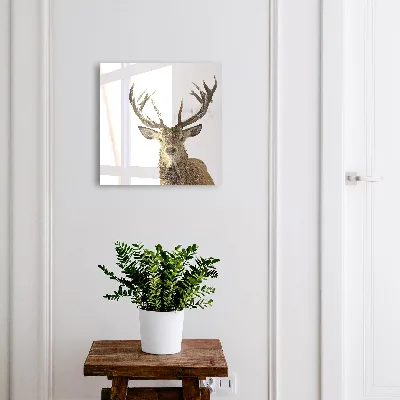 Sleutelkastje binnen Winterhert