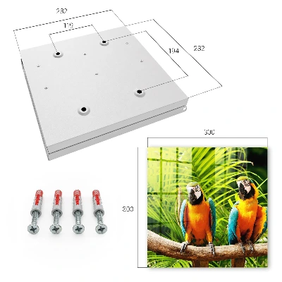 Sleutelkast Tropische vogels