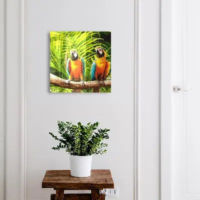 Sleutelkast Tropische vogels