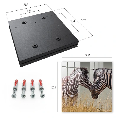 Sleutelkastje binnen Zebra's samen