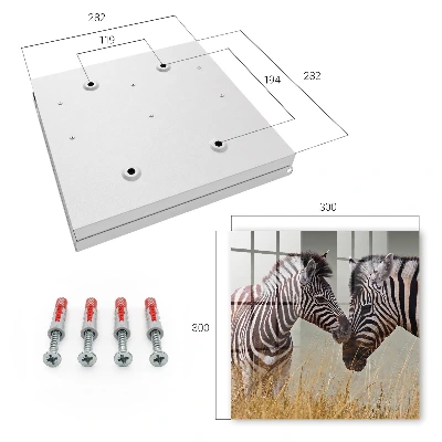 Sleutelkastje binnen Zebra's samen