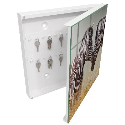 Sleutelkastje binnen Zebra's samen