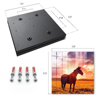 Sleutelkastje binnen Paard in de zon