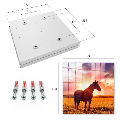 Sleutelkastje binnen Paard in de zon