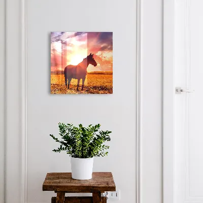Sleutelkastje binnen Paard in de zon