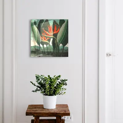 Sleutelkast Het exotische van de natuur