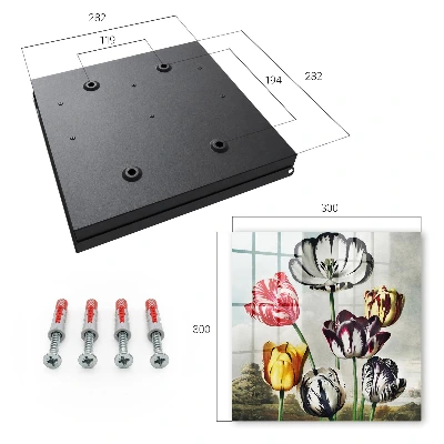 Sleutelkastje binnen Retro tulpen