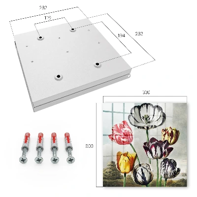 Sleutelkastje binnen Retro tulpen