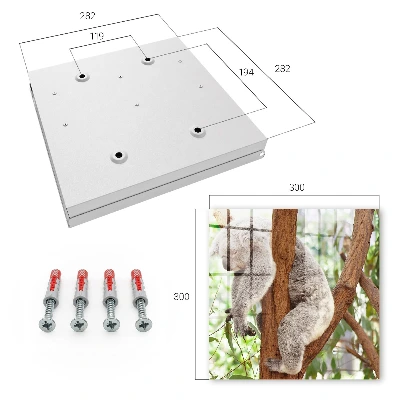 Sleutelkastje hal Koala ontspanning
