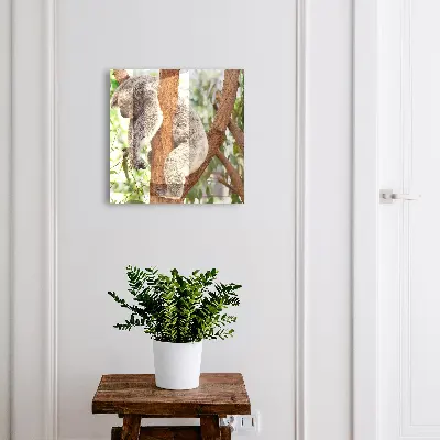 Sleutelkastje hal Koala ontspanning