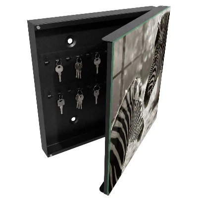 Sleutelkastje binnen Zebra's samen