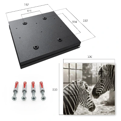 Sleutelkastje binnen Zebra's samen