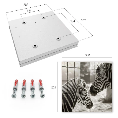 Sleutelkastje binnen Zebra's samen
