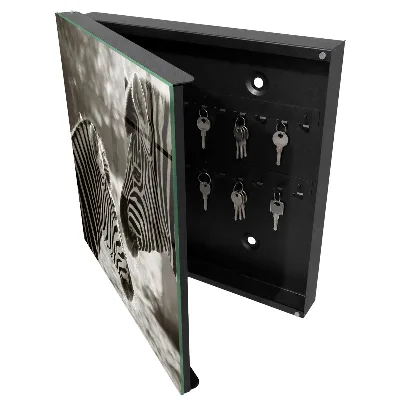 Sleutelkastje binnen Zebra's samen