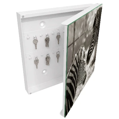 Sleutelkastje binnen Zebra's samen