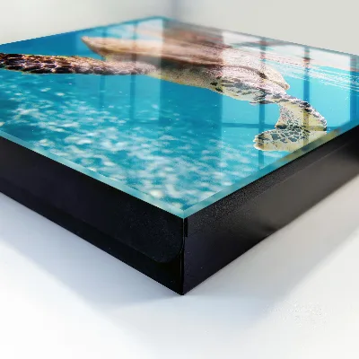 Sleutelkast Onderwaterwereld