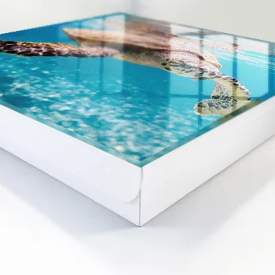 Sleutelkast Onderwaterwereld