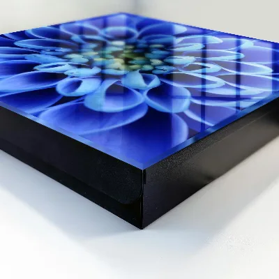 Sleutelkastje binnen Blauwe bloem