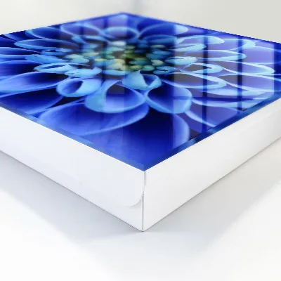Sleutelkastje binnen Blauwe bloem