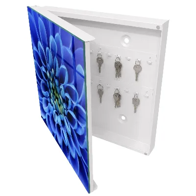 Sleutelkastje binnen Blauwe bloem