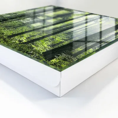 Sleutelkast Groen bos