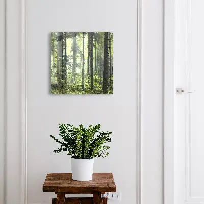 Sleutelkast Groen bos