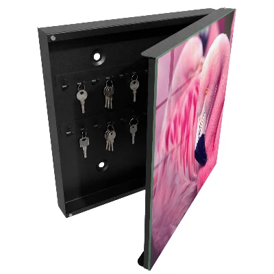 Sleutelkastje binnen Roze schoonheid
