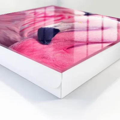 Sleutelkastje binnen Roze schoonheid