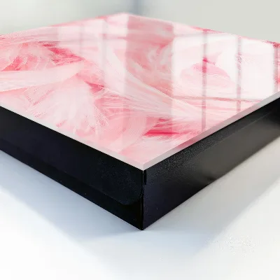 Sleutelkastje hal Roze veren