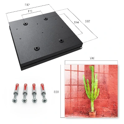 Sleutelkast Groene cactus