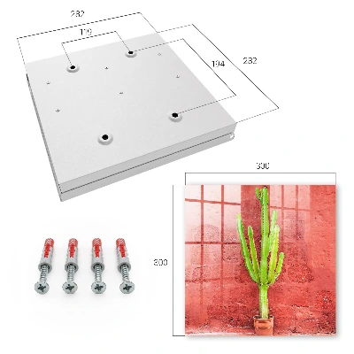 Sleutelkast Groene cactus