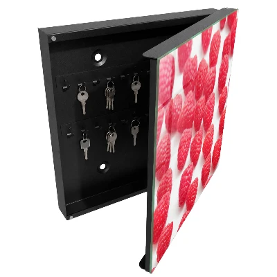 Sleutelkastje binnen Roze frambozen
