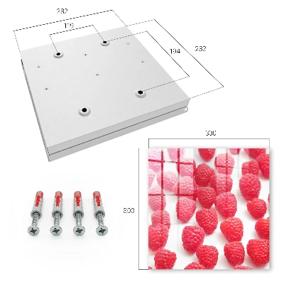 Sleutelkastje binnen Roze frambozen