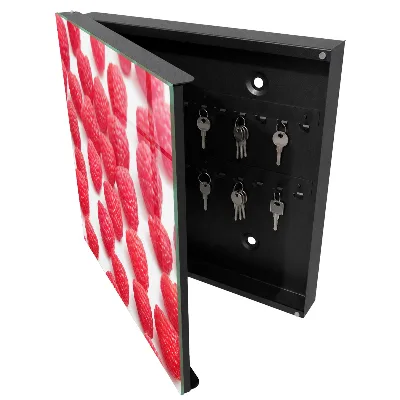Sleutelkastje binnen Roze frambozen