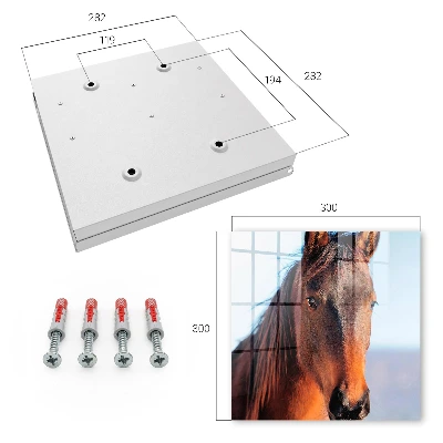 Sleutelkast Portret van een paard
