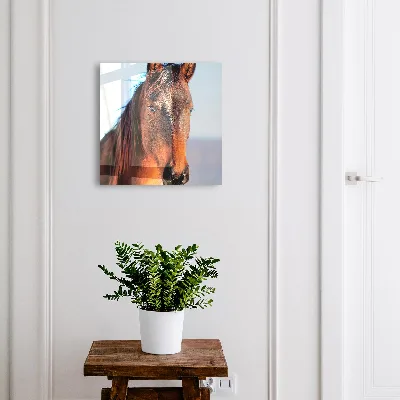 Sleutelkast Portret van een paard