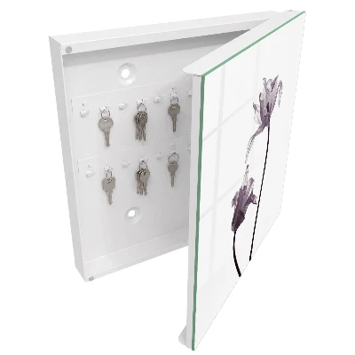 Sleutelkastje binnen Minimalistische bloemen