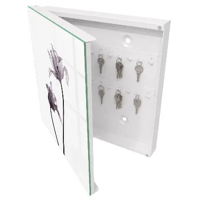 Sleutelkastje binnen Minimalistische bloemen