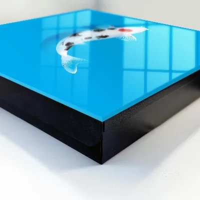 Sleutelkast Koi-vis