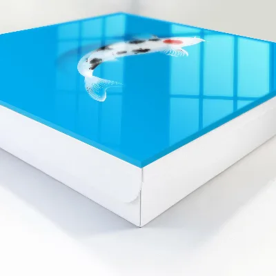 Sleutelkast Koi-vis